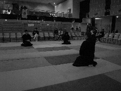 P3270151.JPG_preview.png
