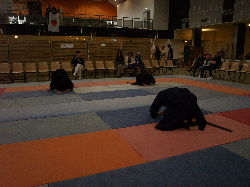 P3270156.JPG_preview.png