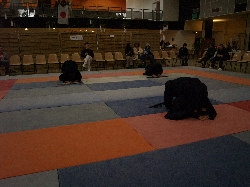 P3270159.JPG_preview.png