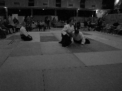P3270184.JPG_preview.png