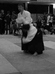 P3270186.JPG_preview.png