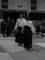 P3270188.JPG_preview.png