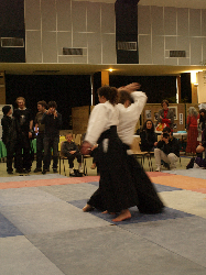 P3270197.JPG_preview.png