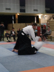 P3270200.JPG_preview.png