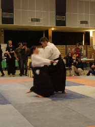 P3270205.JPG_preview.png