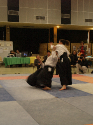 P3270206.JPG_preview.png