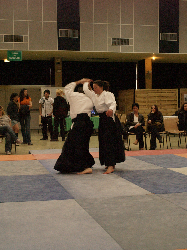P3270212.JPG_preview.png