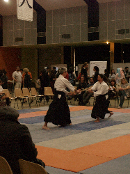 P3270229.JPG_preview.png