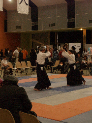 P3270230.JPG_preview.png