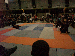 P3270343.JPG_preview.png